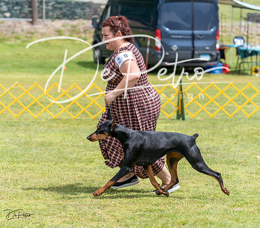 20230513-DSC08424