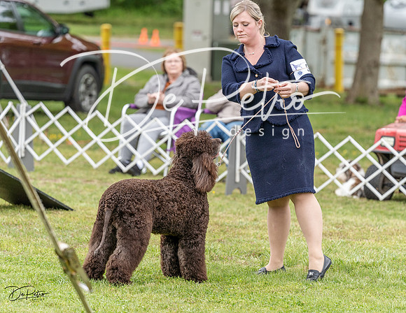 20230427-DSC07521