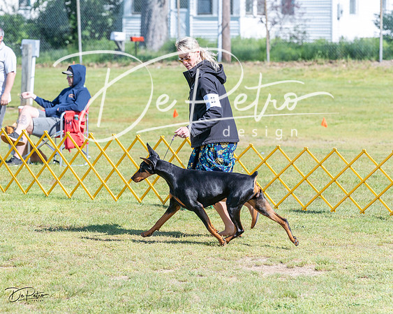 20230514-DSC03420