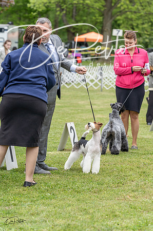 20230427-DSC04150