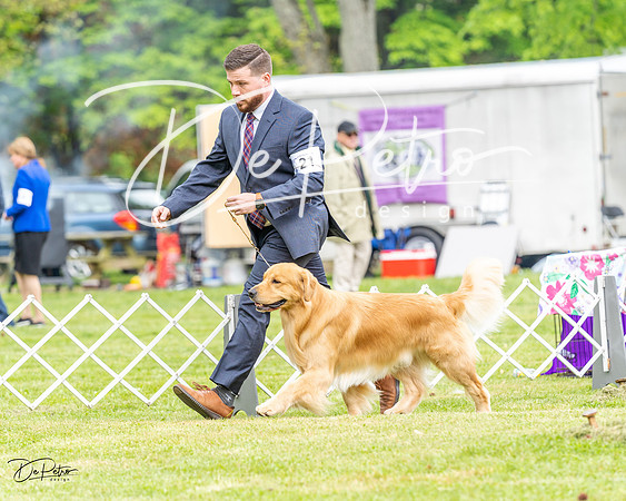 20230427-DSC03830