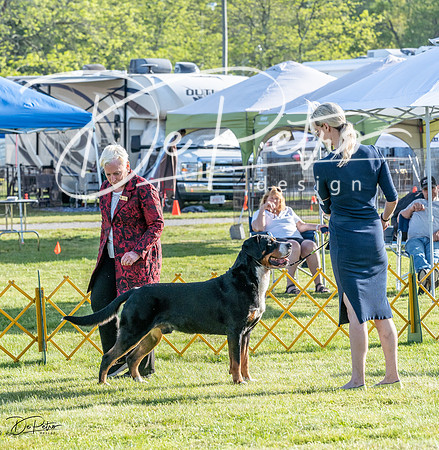 20230513-DSC02346