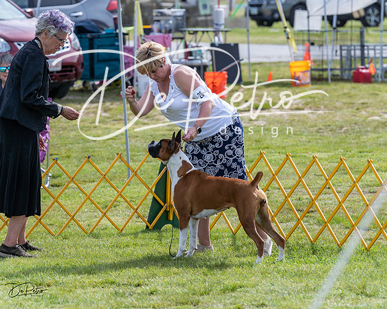 20230513-DSC00869