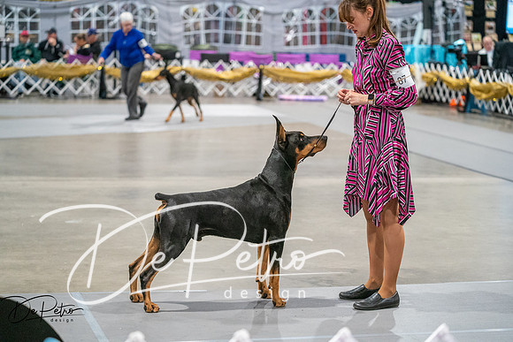 20260926-DSC04873