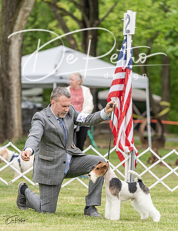 20230427-DSC07562