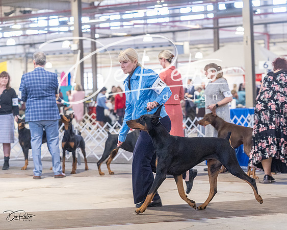 20230401-DSC06503