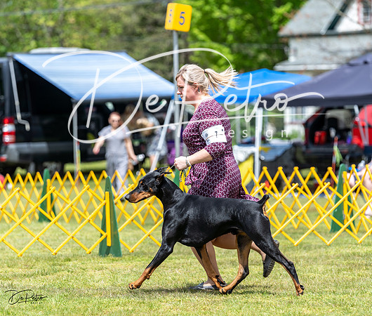 20230513-DSC08189