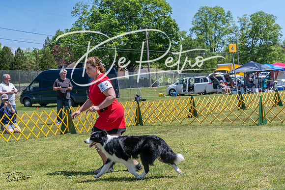 20230514-DSC05004