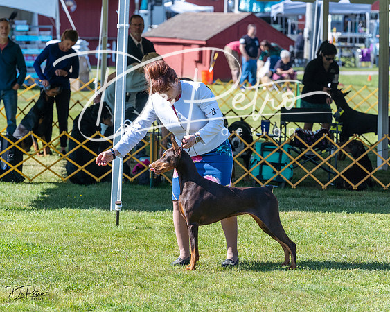 20230514-DSC02807