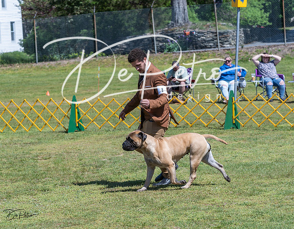 20230514-DSC03692