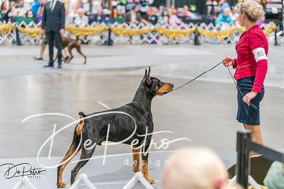 20260927-DSC05476