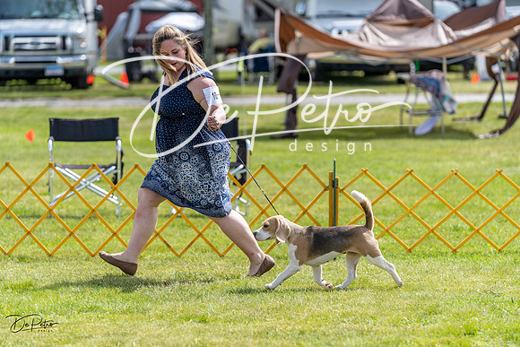 20230513-DSC09681