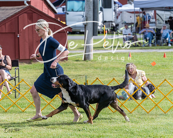 20230513-DSC00812
