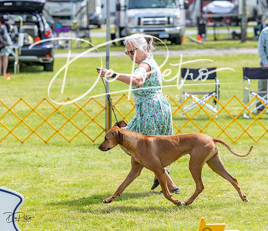20230513-DSC09507