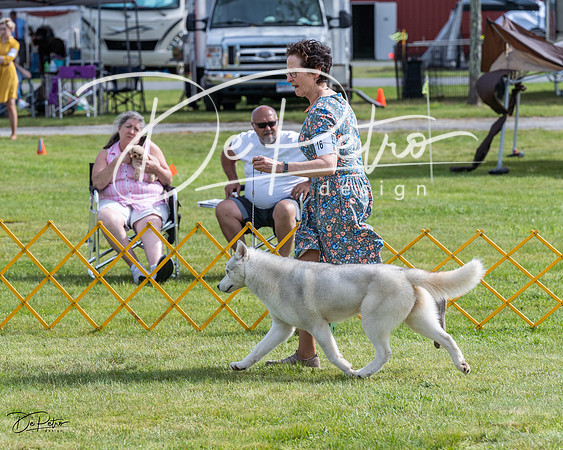 20230513-DSC00705