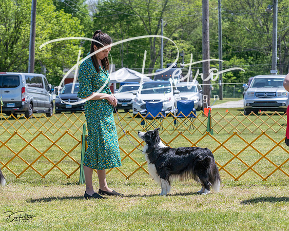 20230514-DSC04795