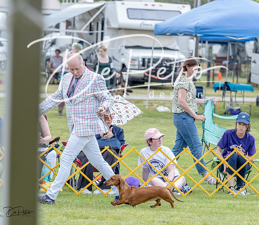 20230512-DSC03867