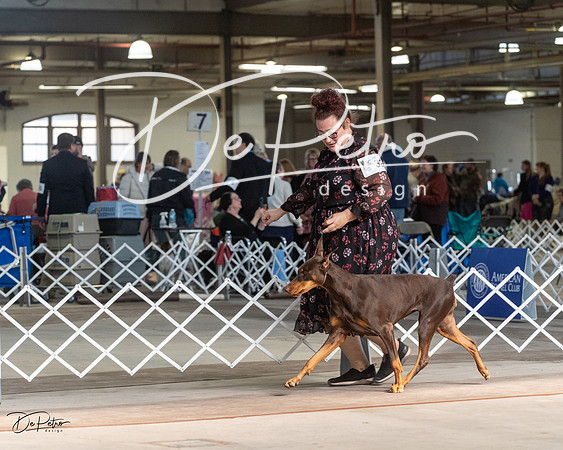 20230402-DSC08832