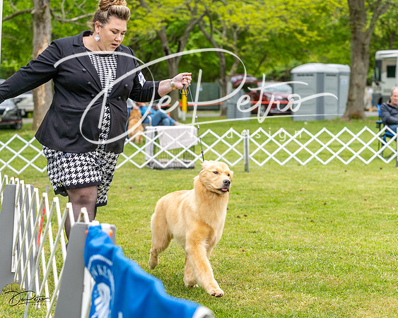 20230427-DSC03499