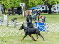 20230428-DSC07685