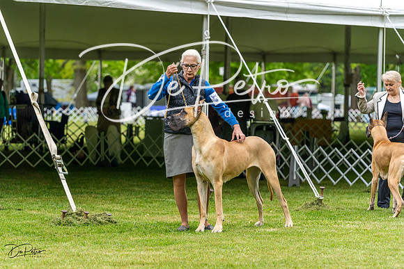 20230427-DSC02917