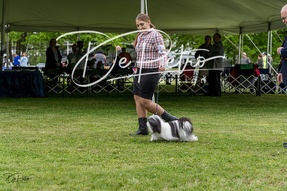 20230427-DSC04180