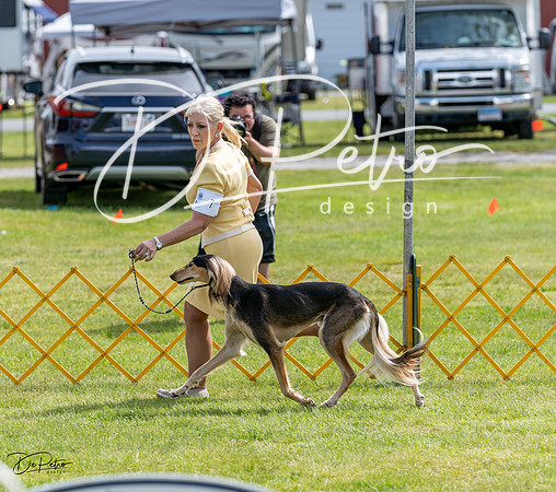 20230513-DSC09828