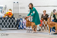 20261023-DSC04887
