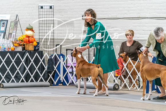 20261023-DSC04887