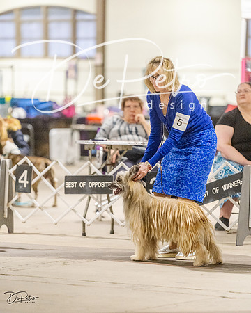 20230401-DSC08128