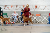 20261023-DSC04814
