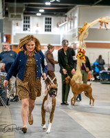 20261022-DSC02705