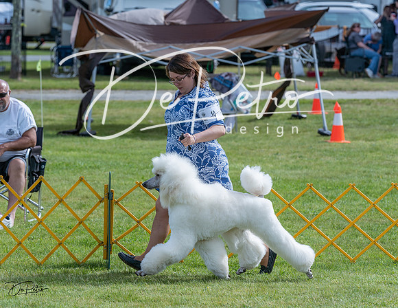 20230513-DSC00302