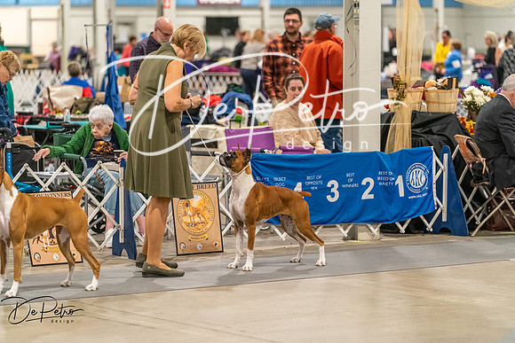 20261023-DSC04954