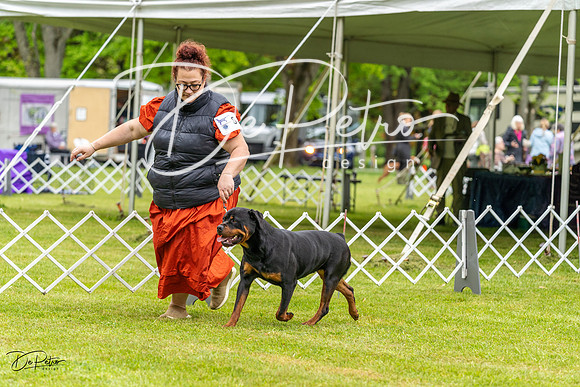 20230427-DSC02469