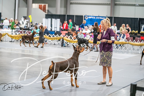 20260926-DSC04447