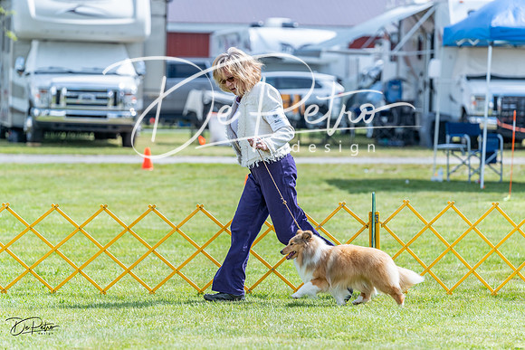 20230512-DSC05512