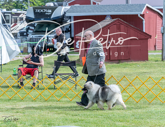20230513-DSC00207