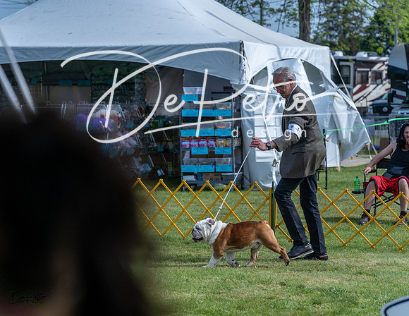 20230513-DSC00450