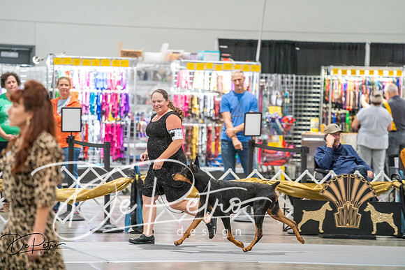 20260926-DSC04551