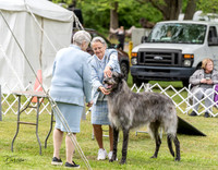 20230427-DSC06506