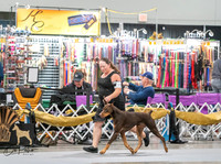 20260926-DSC04010