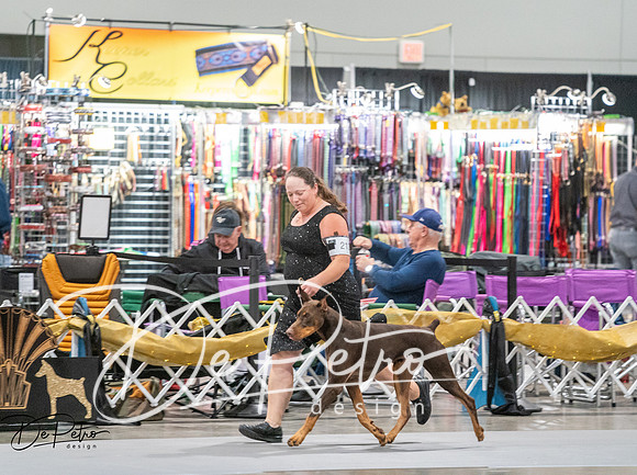 20260926-DSC04010