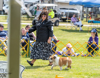 20230512-DSC03957