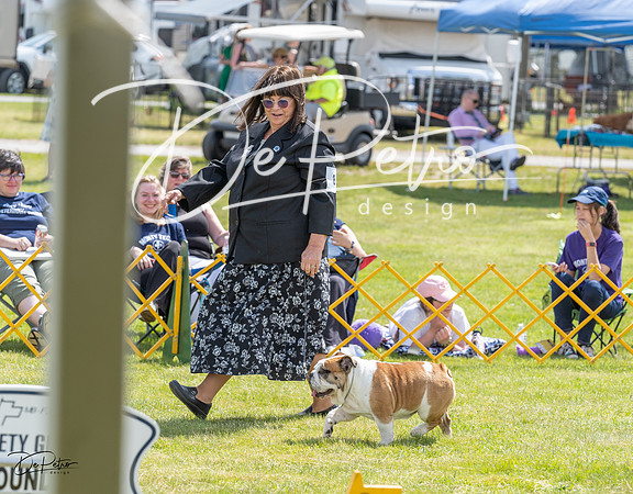 20230512-DSC03957