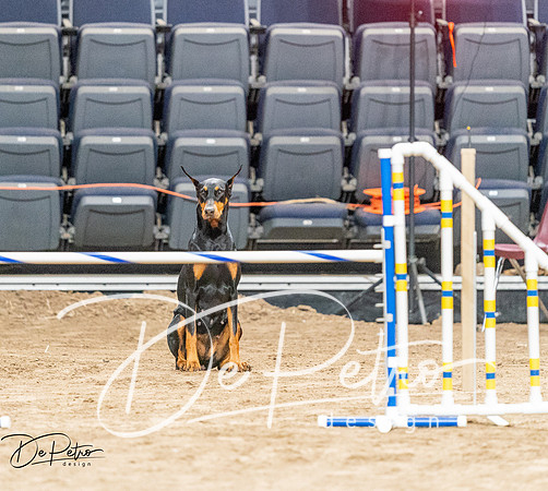 20260929-DSC06564