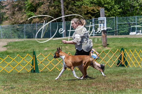 20230514-DSC04308