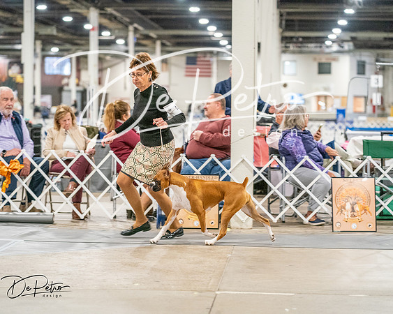 20261022-DSC01506
