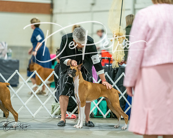 20261022-DSC03242