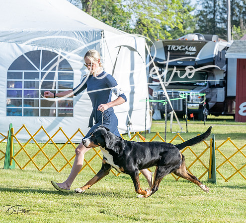 20230513-DSC02373